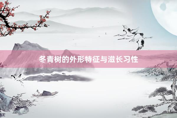 冬青树的外形特征与滋长习性