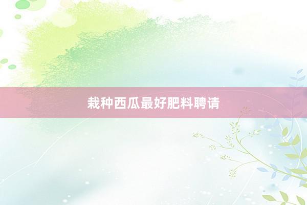 栽种西瓜最好肥料聘请