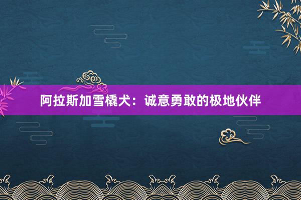 阿拉斯加雪橇犬：诚意勇敢的极地伙伴